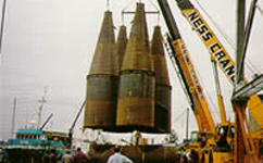 Tall absorber tower and stack with caged ladder